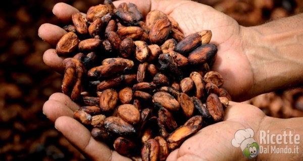 Fave di cacao