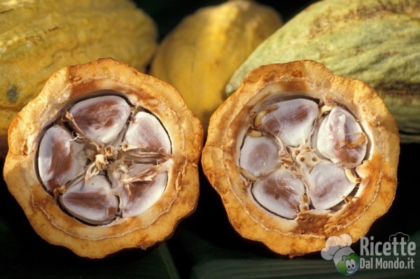 Cacao pod