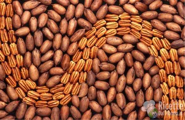 noci pecan sgusciate